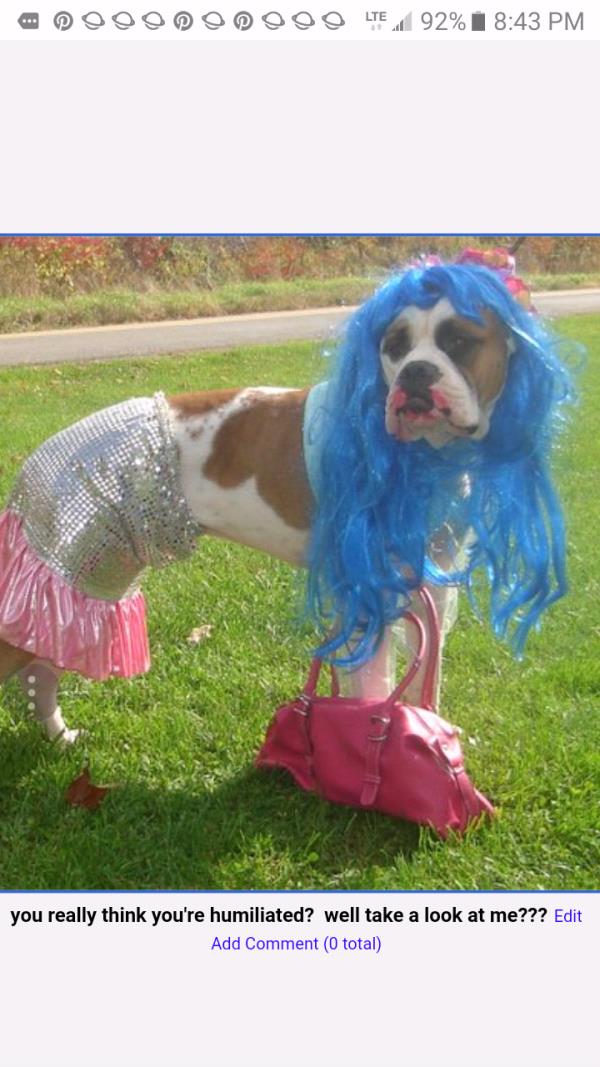 /images/uploads/griffin pond animal shelter/loveyourpet2018/entries/6544thumb.jpg